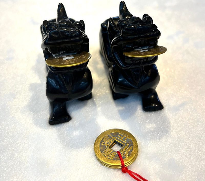 A pair of black dogs with gold trim and a coin.