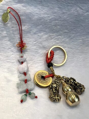 A key chain with a coin and other charms.