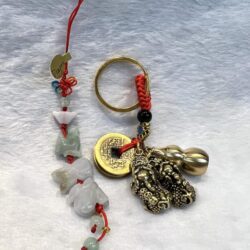 A key chain with a coin and beads on it.