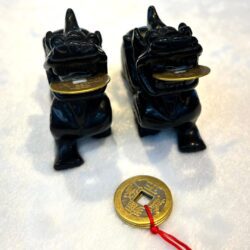 A pair of black chinese dogs with gold trim and a coin.