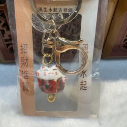 Lucky cat keychain in packaging.