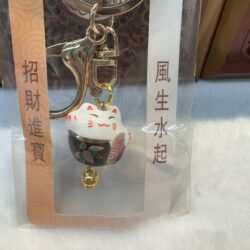Lucky cat keychain in packaging.