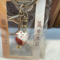 Lucky cat keychain in packaging.