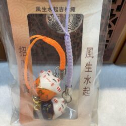 Lucky cat charm with colorful straps.