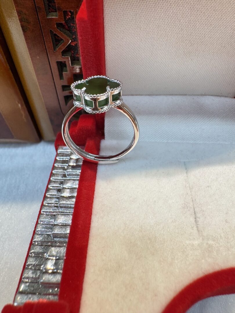 Side view of silver ring with green inlay